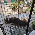 Casa Morena Dom wakacyjny *