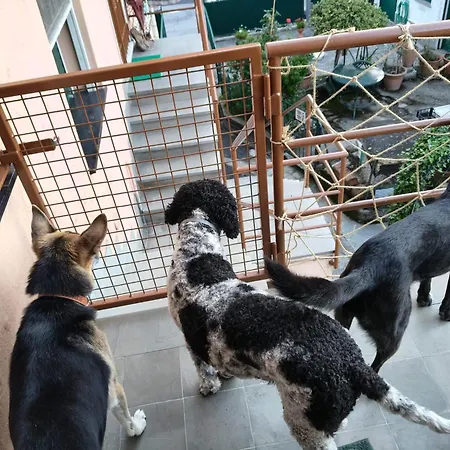 Casa Morena Hébergement de vacances