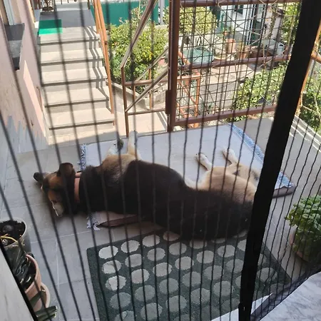 Casa Morena Σπίτι διακοπών *