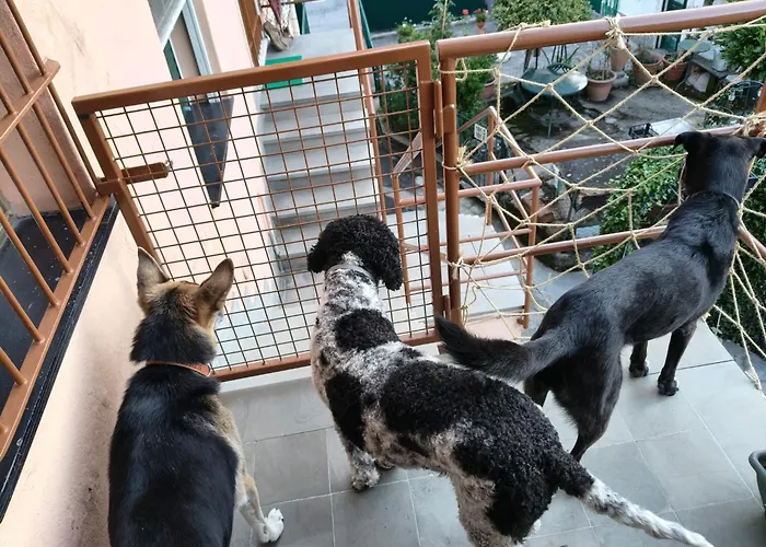 Casa Morena Hébergement de vacances