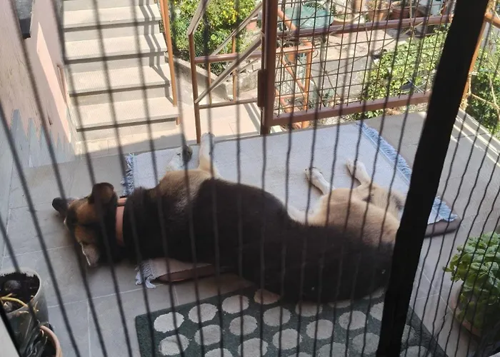 Casa Morena Hébergement de vacances *